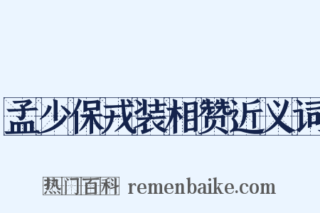 孟少保戎装相赞近义词是什么意思的图片
